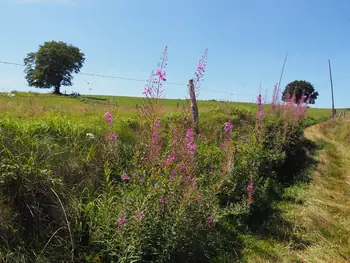 Beausaint (La Roche-en-Ardenne, België)